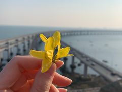 -星海湾跨海大桥