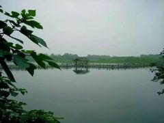 -溱湖国家湿地公园