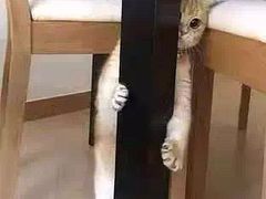 -赤峰宴宾楼(满洲里路店)