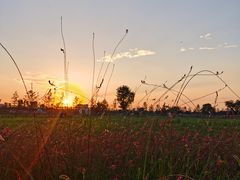-汉长安城未央宫国家考古遗址公园