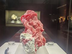 -湖南省地质博物馆