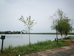 -杏花村文化旅游区
