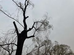 -长春市南湖公园