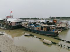 -大湾区中央湿地公园-十九涌