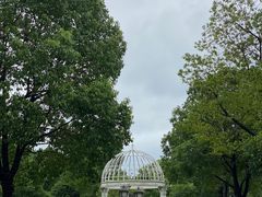 -百事佳烧鸭牛腩(上海虹桥站店)