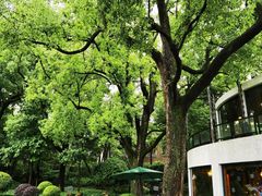 -申粤轩酒楼·三十年粤菜经典(丁香花园店)