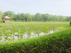 -上海海事大学(临港校区)