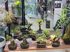 -L.C FLORA花予你(城西银泰城店)