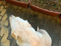 -朕悦鹧鸪饭私房菜