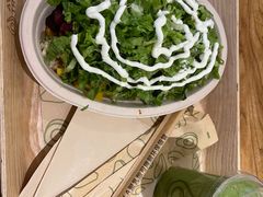 -油梨树 AVOCADO TREE(亮马桥店)