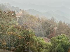 -莫干山风景区