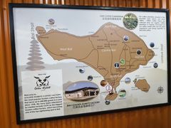 -巴厘岛黄金金兔咖啡工厂