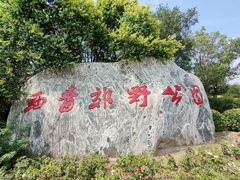 -西青郊野公园