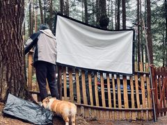 -重庆睡佛山森林公园