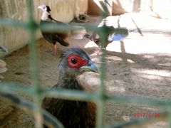 -卡塞拉自然公园