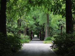 -上海滨江森林公园