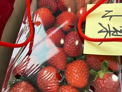 -心乐生活新鲜屋(星海广场店)