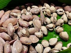 -马哥孛罗咖啡厅·Cafe Marco (厦门马哥孛罗东方大酒店)