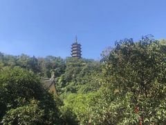 -焦山风景区