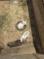 -酷嗒动物文化乐园(cutezoo西溪乐天城店)