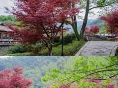 -宁波松兰山滨海旅游度假区