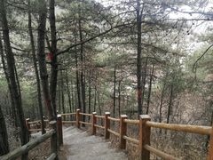 -商洛老君山旅游风景区