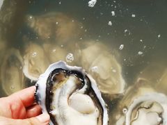 -横琴蚝苑·地道农家菜