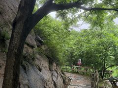 -大岭沟猕猴桃谷风景区