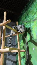 -Zoolung Zoolung动物主题公园(海信广场店)