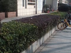 -中国人民解放军东部战区总医院(秦淮医疗区)