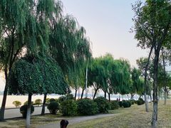 -丁香湖公园