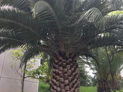 -世界恐龙谷景区