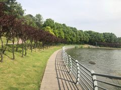 -美兰湖景区