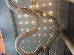 -成都保利公园皇冠假日酒店(熊猫基地店)