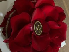 -PETIT PARIS 小巴黎(凯德1818店)
