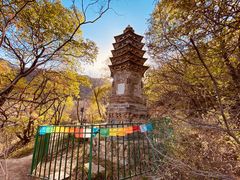 -北京凤凰岭