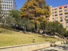 -广州七星岗古海岸遗址科学公园