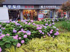 -海底捞火锅(海宁路店)