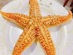 -比尔森韩式烤肉自助(绿园店)