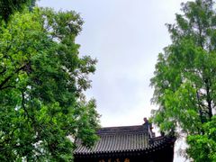 -西安博物院