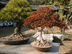 景点-焦山风景区