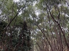 -同里国家湿地公园