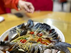 -煲来饱去冷水鱼