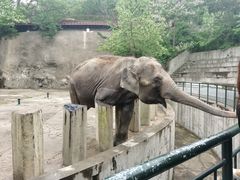 -大连森林动物园