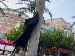 -青岛方特梦幻王国