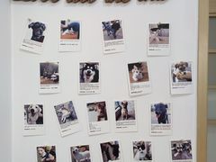 -经福元·推拿·艾灸(广兰路店)