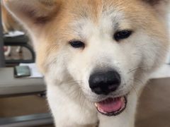 -YCHL Studios健身工作室(市二宫店)