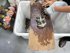 -阳澄湖大闸蟹·琼灵阁牌品牌连锁(吴中总店)