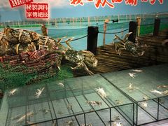 -西湖春天•老字号杭州菜(百汇店)