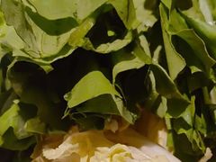 -奔达特色烤牛肉(临河街店)